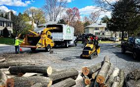 Best Tree Trimming and Pruning  in Roanoke, VA