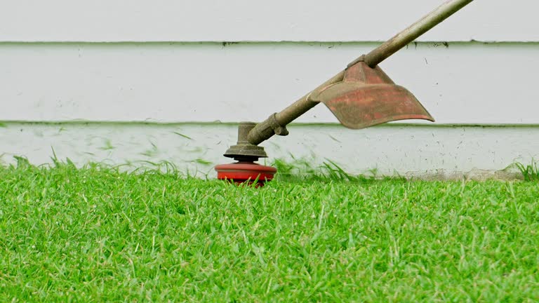 Best Lawn Renovation and Restoration  in Roanoke, VA